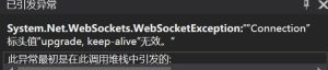 websocket keep-alive报错